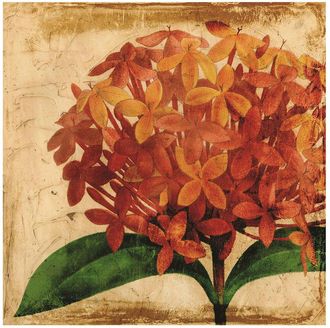 Empire Art Direct Vibrant Floral 2 Wall Art