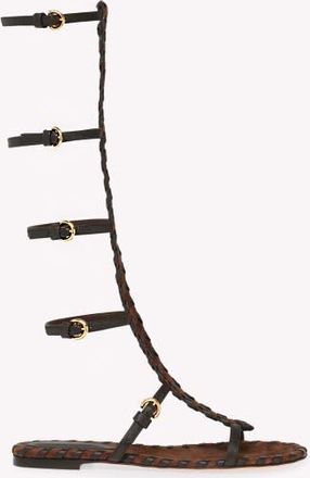 Gianvito Rossi Zaira Gladiator Sandal in Brown Suede And Lamb Leather at Nordstrom, Size 39