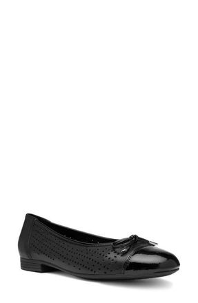 Ara Sangria Cap Toe Flat in Black at Nordstrom, Size 10.5