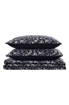 BCBGeneration Vanna Velvet Quilt Set in Black at Nordstrom Rack, Size Full/queen