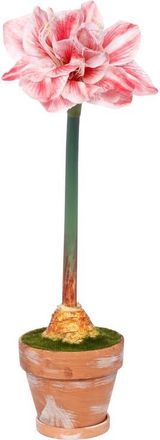 Mark Roberts Potted Amaryllis Flower, Set of 2 in Red at Nordstrom