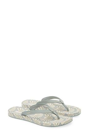 Olukai Uiki Water Resistant Flip Flop in Silver Pine /Pai at Nordstrom, Size 10