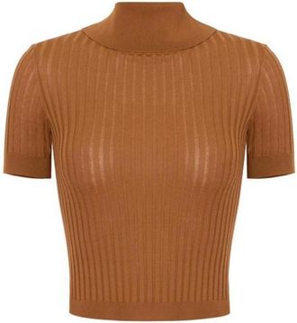 Elisabetta Franchi Truien & Vesten, Dames, Bruin, XL, Turtleneck Knit Top