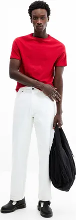 Dickies Mens Nashville painter pant Baggy fit