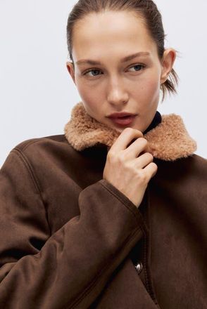 H&M Teddy-collared Jacket in Dark Brown at Nordstrom, Size Xx-Large