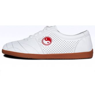 Generic Unisex Taekwondo Shoes, Martial Arts Sports Boxing Karate Taichi Lightweight for Kids Women Men Adult(9.5 UK) White