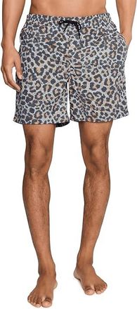 AllSaints Silesia Swimshorts Mens Swimwear Clouded Grey : MD, Nylon