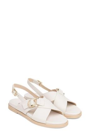 Nero Giardini Slingback Sandal in Cream at Nordstrom, Size 10Us