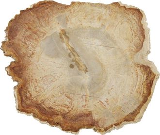 Fortessa D&V 8In Petrified Wood Platter