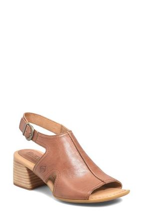 B&oslash;rn Swinton Sandal in Brown Leather at Nordstrom, Size 11