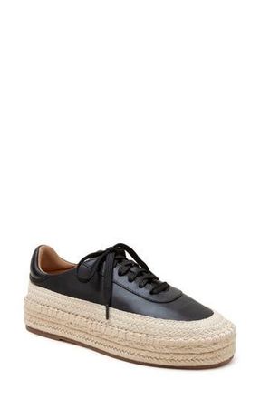 Linea Paolo Selma Platform Sneaker in Black at Nordstrom Rack, Size 9.5