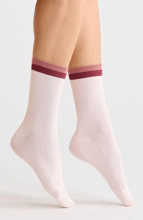 Nordstrom Tipped Wide Rib Dress Socks in Pink Primrose at Nordstrom, Size 9