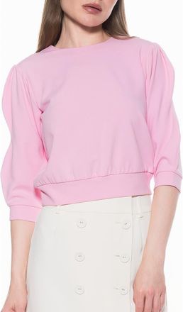 Alexia Admor Bebe Three-Quarter Sleeve Sweatshirt in Pink at Nordstrom Rack, Size X-Large