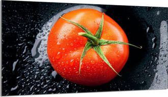 OEM Placa Protectora De Vidrio Para Estufa 90x52 Tomate