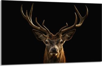 OEM Placa Protectora De Vidrio Para Estufa 80x52 Ciervo