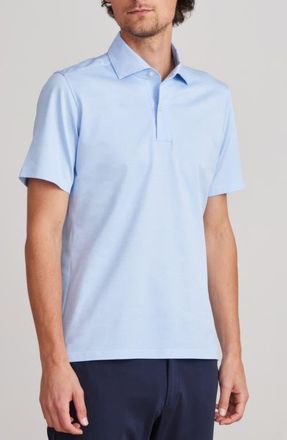 Emanuel Berg Textured Cotton Knit Polo in Light Pastel Blue at Nordstrom, Size Xxx-Large