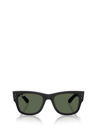 Ray-Ban Sunglasses