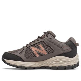 New Balance (WMNS) New Balance Fresh Foam 1350 Brown WW1350WA