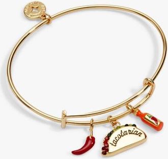 Alex and Ani Taco Multi Charm Ewb in Gold at Nordstrom