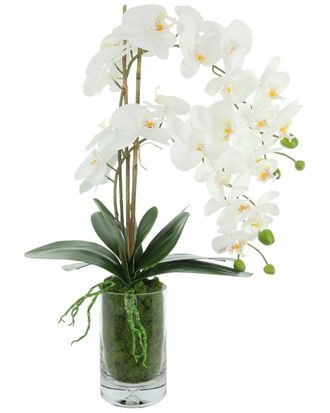 Creative Displays Inc. Handmade Faux Orchids Arranged In Glass Vase With Moss