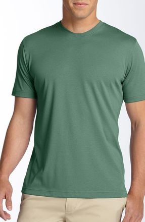 Robert Barakett Georgia Pima Cotton T-Shirt in Willow at Nordstrom, Size X-Large