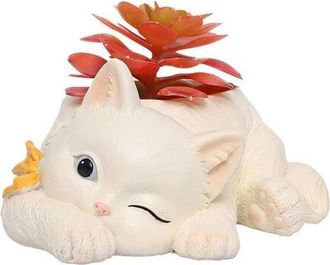 OEM Macetas Con Forma De Gato, Macetas Con Forma De Animales De Dibujos Animados, Plantas Suculentas