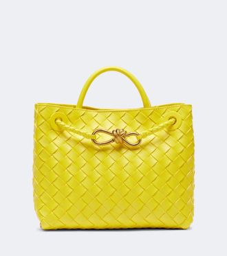 Bottega Veneta Bolso Andiamo Small de piel