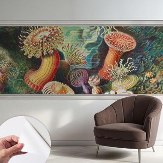 Tulup Carta Da Parati Adesiva - Lavabile - Decorazione Murale - Per Cucina - Pellicola Decorativa Anemoni Fantastici 250x104 Cm