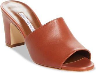 Manolo Blahnik Rapallarbar Block Heel Slide Sandal in Brown at Nordstrom, Size 40.5