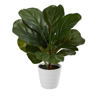 Nearly Natural 11-in Fiddle Leaf Artificial Plant in White Planter in Green at Nordstrom