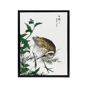 Artery8 Greenshank & Bupleurum Japanese Framed Canvas Wall Art Print Kashu | Size: W24 x H32