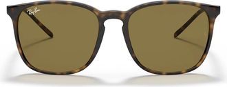 Ray-Ban Sunglasses Rb4387 710/73 Brown/Brown Unisex