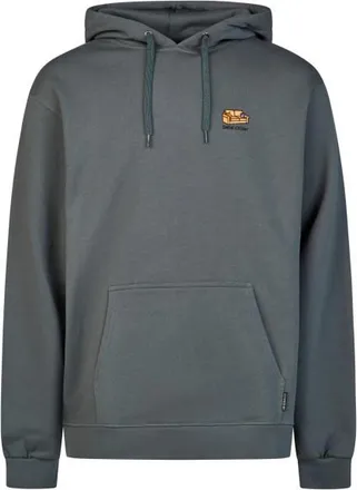 Iriedaily Serial Chiller Hoodie Hoodie f&uuml;r Herren | grau