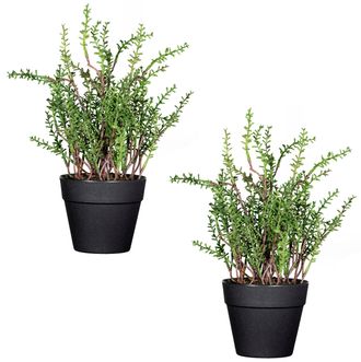 Creativ Green Kunstpflanze