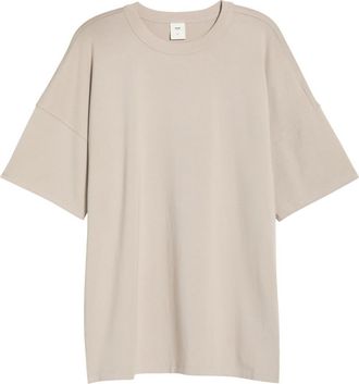 SKIMS Oversize T-Shirt in Linen at Nordstrom, Size X-Large
