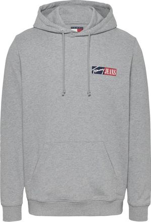 Tommy Jeans Grijze Sweater met Capuchon en Zak - Heren - Hoodies - Grijs - M - Katoen - Hoodies & sweatvesten