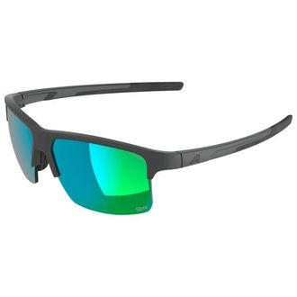 Alpina Eagle Q-Lite S2 Sonnenbrille - Unisex | grau