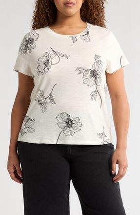 Sanctuary The Perfect T-Shirt in Sketched B at Nordstrom Rack, Size 3X
