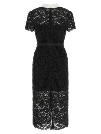 Self Portrait Floral Lace with Contrast Collar Dress - Black