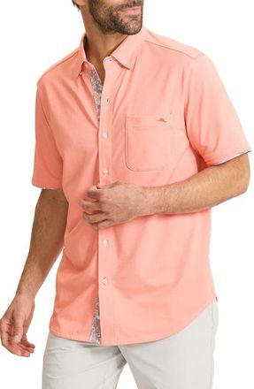 Tommy Bahama San Lucio Valega Happy Hour IslandZone Short Sleeve Button-Up Shirt in Dark Coral at Nordstrom, Size 2Xlt