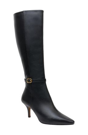 Linea Paolo Parson Tall Boot in Black at Nordstrom, Size 10