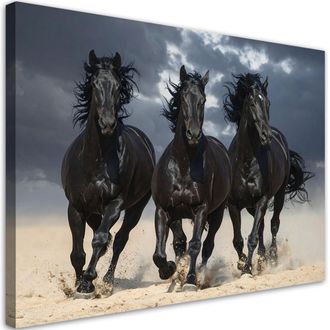 Feeby Cuadro En Lienzo, Caballos Negros Galopando Naturaleza, 100x70
