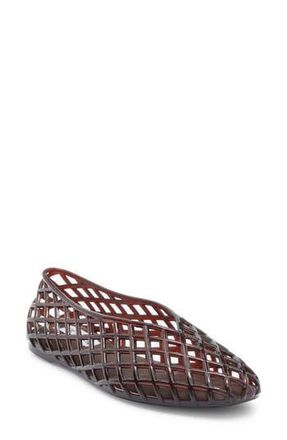 Steve Madden Crista Jelly Flat in Brown at Nordstrom Rack, Size 11