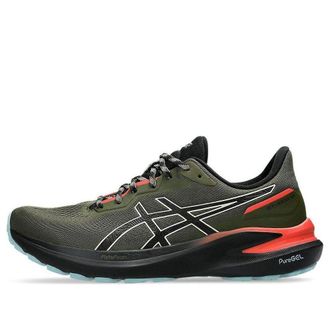 Asics GT-1000 13 TR Nature Bathing 1011B951-300