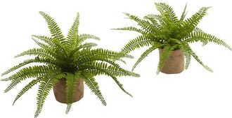 Nearly Natural Set Of 2 Boston Ferns With Burlap Planter