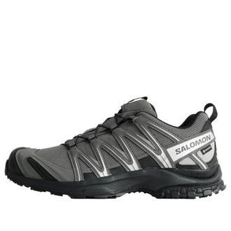 Salomon XA Pro 3D Gore-Tex Pewter Silver Cloud 475875
