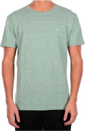 Iriedaily Chamisso Tee T-Shirt f&uuml;r Herren | t&uuml;rkis