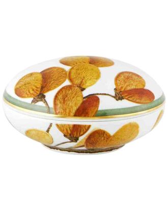 Vista Alegre Amazonia Large Round Box With $11 Credit