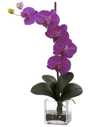 Nearly Natural Giant Phalaenopsis Orchid With Vase Arrangement
