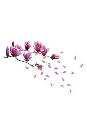 Walplus Magnolia Flower Decal Sticker Wall Decoration - Pack of 3 in Pink at Nordstrom Rack